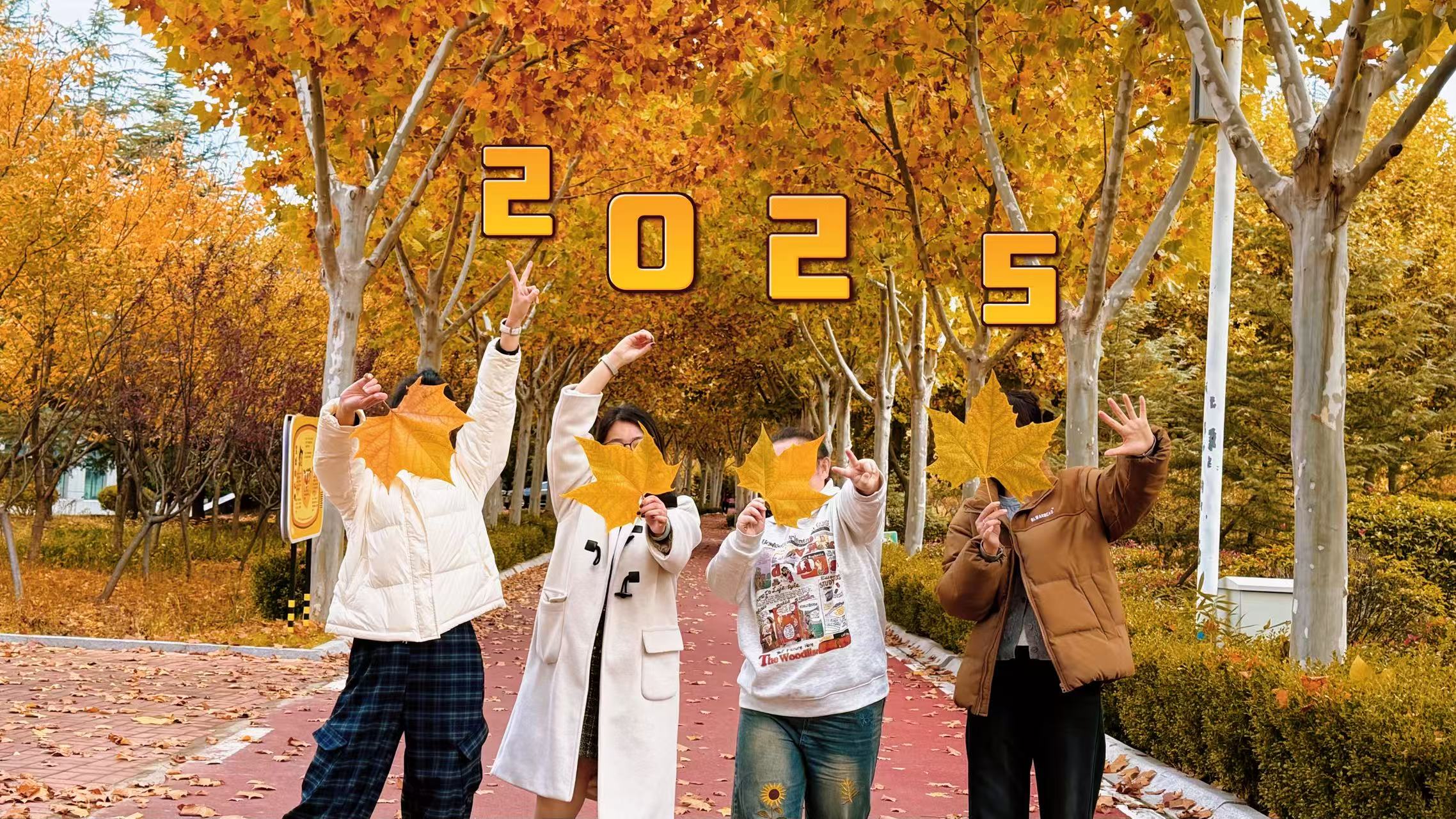 嗡嗡乐园的秋天后劲太大！收下这份推荐清单，立马出发！