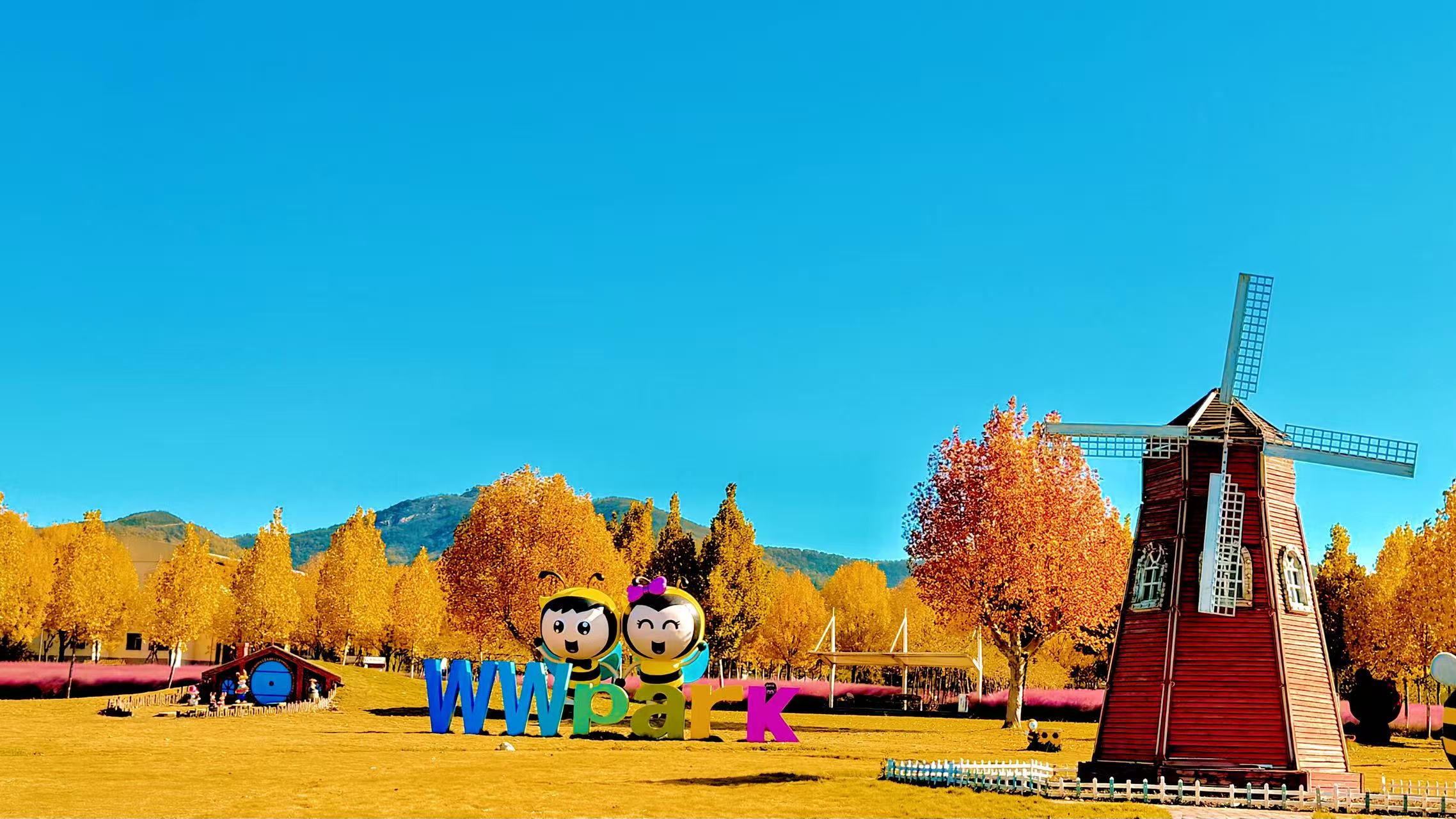 嗡嗡乐园：这份初冬漫游指南请收好~