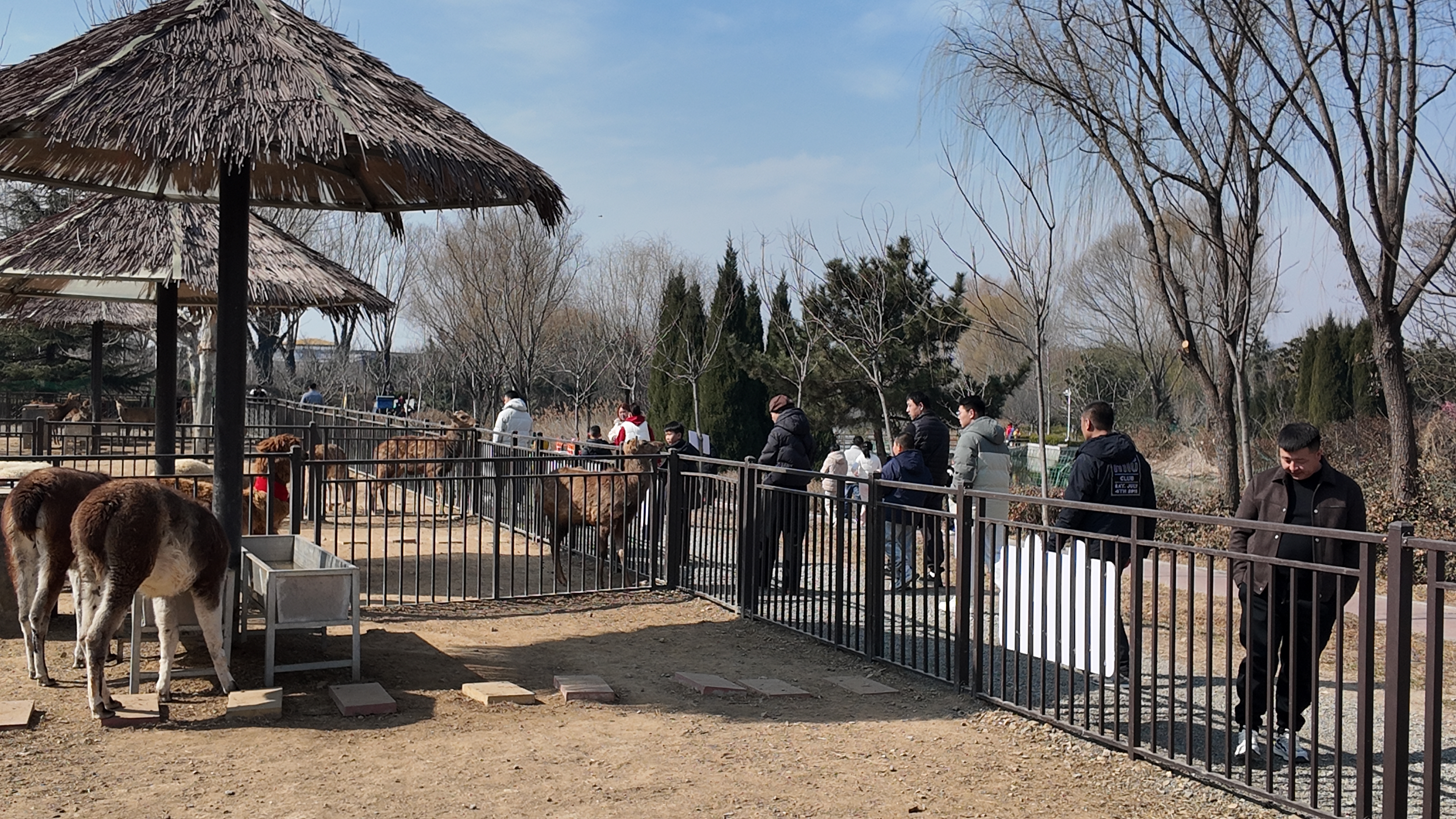 嗡嗡乐园真的太会了，一起走上财（踩）富（福）大道