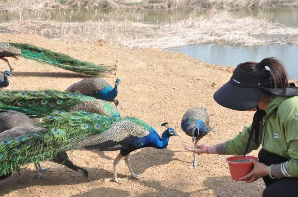 不必远行赴春光！嗡嗡乐园承包你的初夏所有美好，赏花遛娃露营一站式玩转